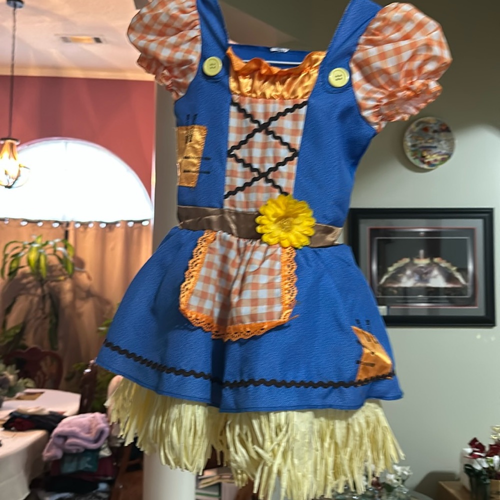 Little girls costume or dance dress